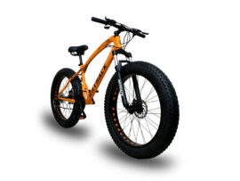 ontrack jaguar fat bike 2019 model